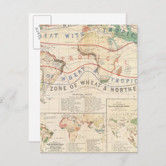 Distributie planten briefkaart (Voorkant / Achterkant)