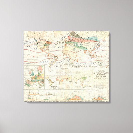 Distributie planten canvas afdruk (Voorkant)