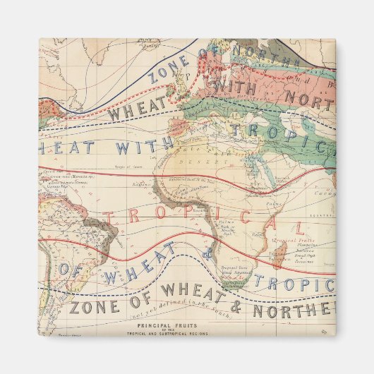 Distributie planten magneet (Voorkant)