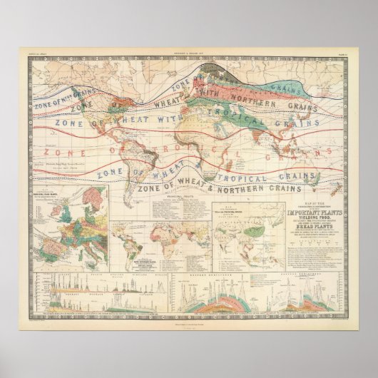 Distributie planten poster (Voorkant)