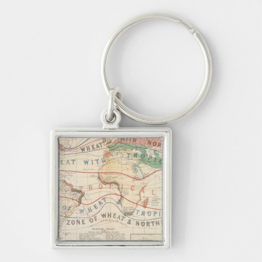 Distributie planten sleutelhanger (Voorkant)