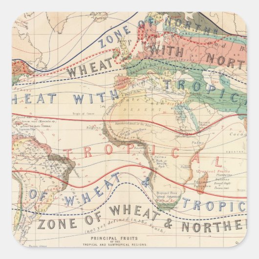 Distributie planten vierkante sticker (Voorkant)