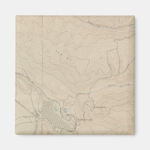 district Aspen Magneet