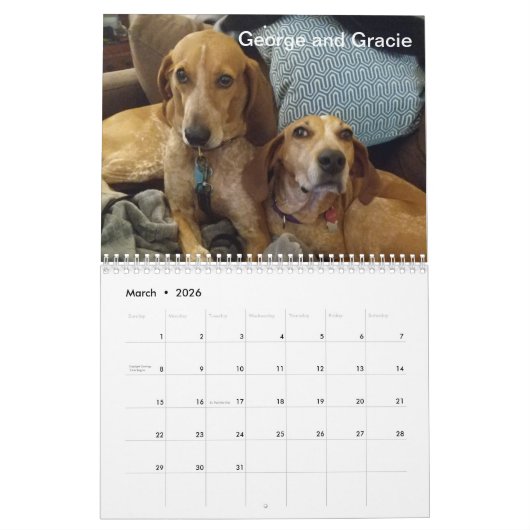 District Hound 2019/2020 Kalender (Mar 2026)