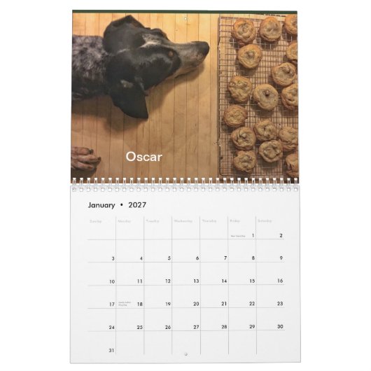 District Hound 2019/2020 Kalender (Jan 2027)