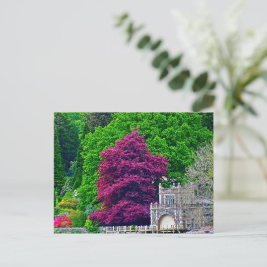 Districtmeer Briefkaart (Staand voorkant)