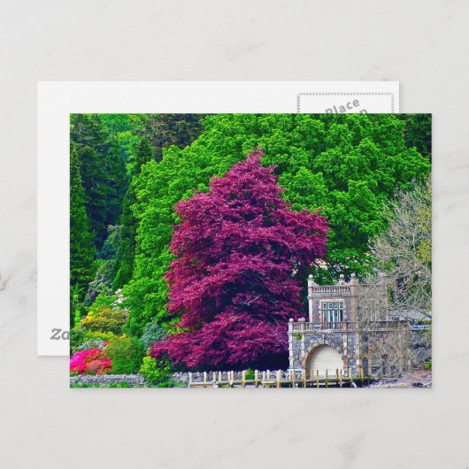 Districtmeer Briefkaart (Voorkant / Achterkant)