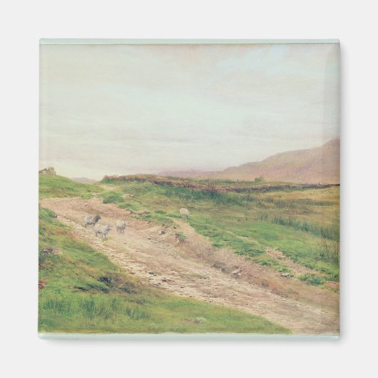 Districtmeer Magneet (Voorkant)