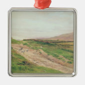 Districtmeer Metalen Ornament (Voorkant)