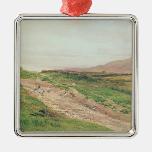 Districtmeer Metalen Ornament (Voorkant)