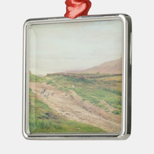 Districtmeer Metalen Ornament (Links)