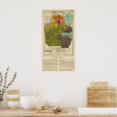 Distrito Federal, Mexico 2 Poster (Keuken)