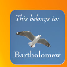 Dit Behoort Toe Aan Blue Sky Seagull Foto