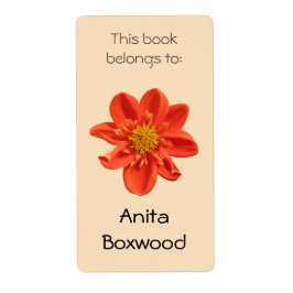 Dit boek behoort tot de aangepaste naam Sinaasappe Etiket