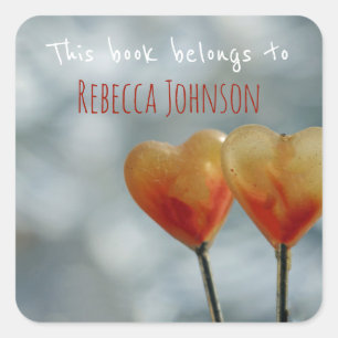 Dit boek behoort tot vierkante sticker