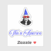 Dit is Amerika, 4 juli,  Sticker (Vel)