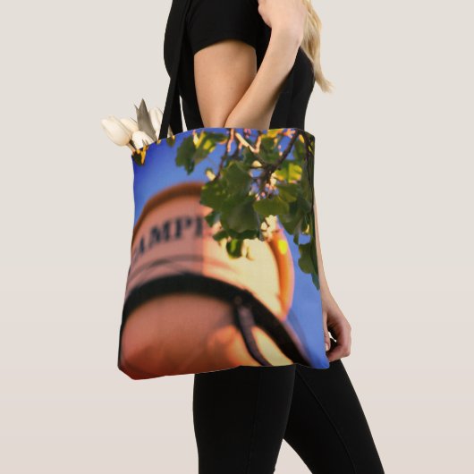 Dit is Campbell CA, Historisch Tas van de Watertor (Dichtbij)