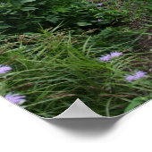 Dit is de bijenteelt poster (Hoek)