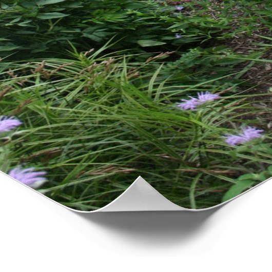 Dit is de bijenteelt poster (Hoek)