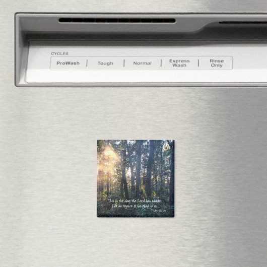 Dit is de dag dat de Heer Magnet heeft gemaakt (Insitu (Vaatwasser))