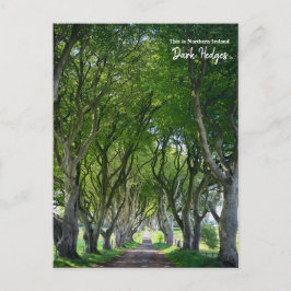 Dit is de Dark Hedges - Noord-Ierland Briefkaart