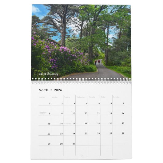 Dit is de Ierse kalender (Mar 2026)