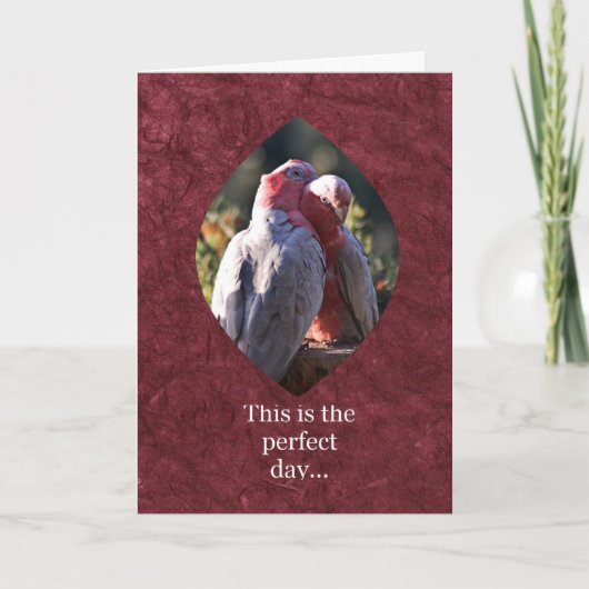 Dit is de perfecte dag feestdagen kaart (Voorkant)