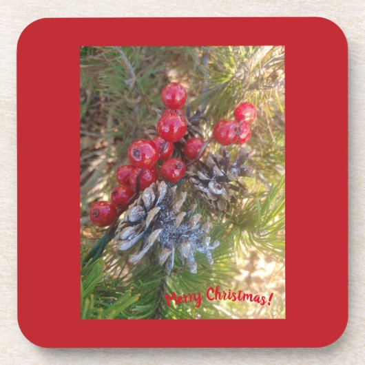 Dit is de seizoensgebiedoprik bier onderzetter (Voorkant)