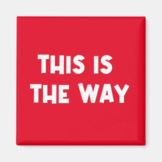 Dit is de Way Magnet