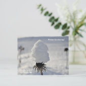 "Dit is de wintertuin in het noorden van de feestd Briefkaart (Staand voorkant)