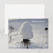 "Dit is de wintertuin in het noorden van de feestd Briefkaart (Voorkant / Achterkant)