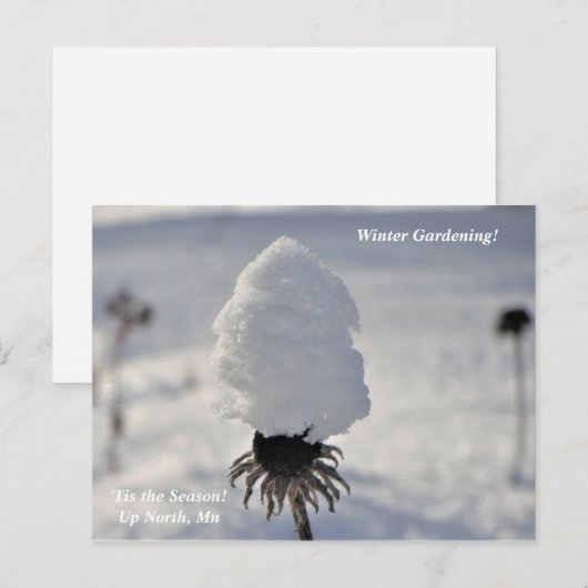 "Dit is de wintertuin in het noorden van de feestd Briefkaart (Voorkant / Achterkant)