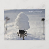 "Dit is de wintertuin in het noorden van de feestd Briefkaart (Voorkant)