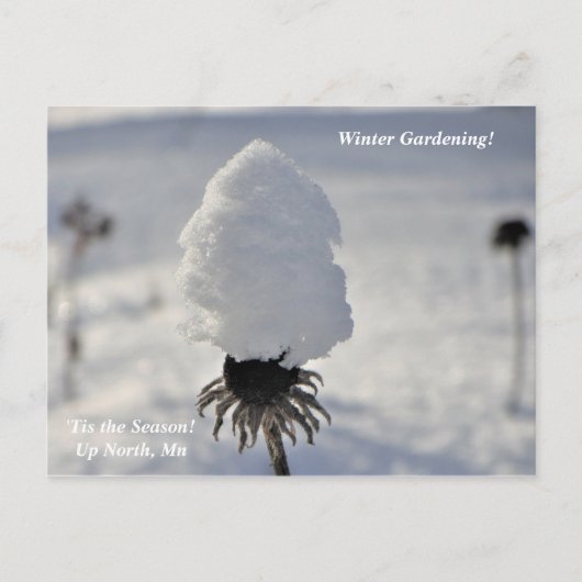 "Dit is de wintertuin in het noorden van de feestd Briefkaart (Voorkant)