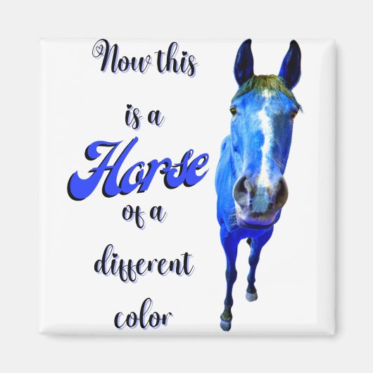 Dit is een paard van een andere kleur in blauw magneet (Voorkant)