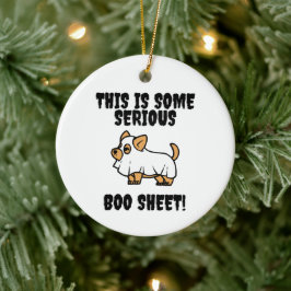 Dit is een serieus Ornament