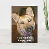 Dit is geen Puppy Love Happy Jubileum Kaart (Voorkant)