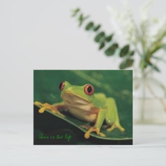 Dit is het leven briefkaart (Staand voorkant)