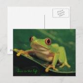 Dit is het leven briefkaart (Voorkant / Achterkant)