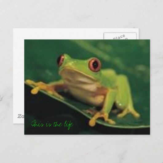 Dit is het leven briefkaart (Voorkant / Achterkant)