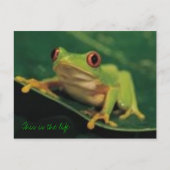 Dit is het leven briefkaart (Voorkant)