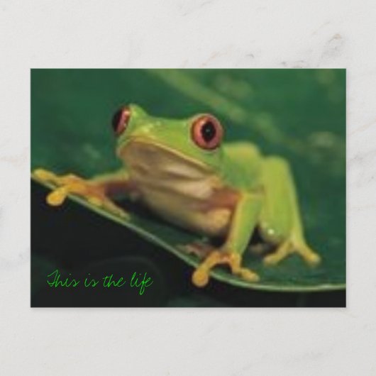 Dit is het leven briefkaart (Voorkant)