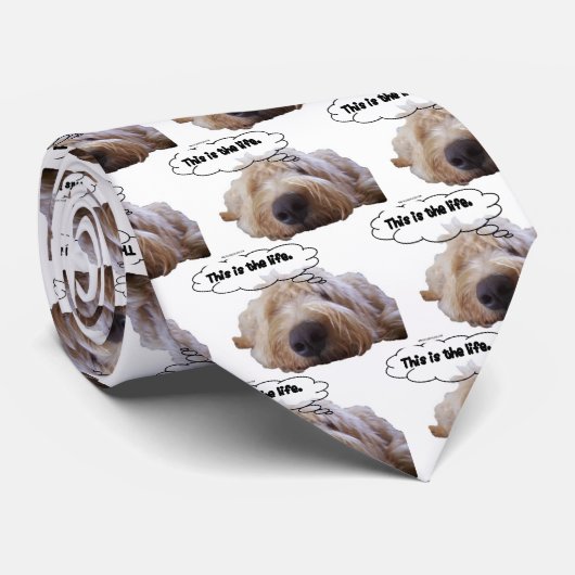 Dit is het leven stropdas (Opgerold)