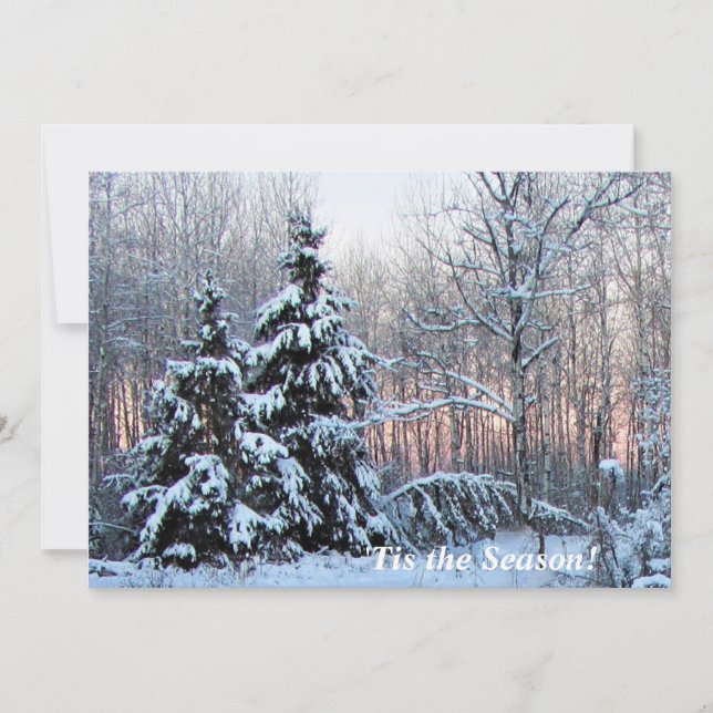 Dit is het seizoen in het noorden van Mn. Rosy Sun (Voorkant)