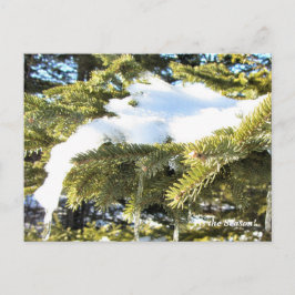 Dit is het seizoen noordwaarts, maandag wintervaka briefkaart