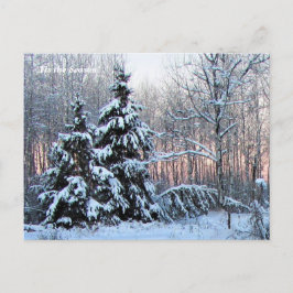 Dit is het seizoen noordwaarts, maandag wintervaka briefkaart