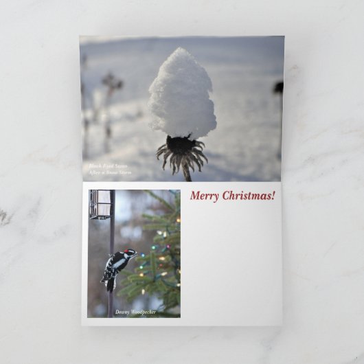 Dit is het seizoen op North Man! vrolijk kerstfees Bedankkaart (Binnen)