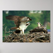 Dit is hoe deze dingen werken poster (Voorkant)