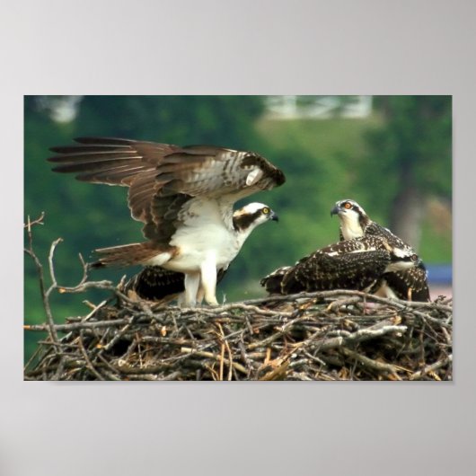 Dit is hoe deze dingen werken poster (Voorkant)