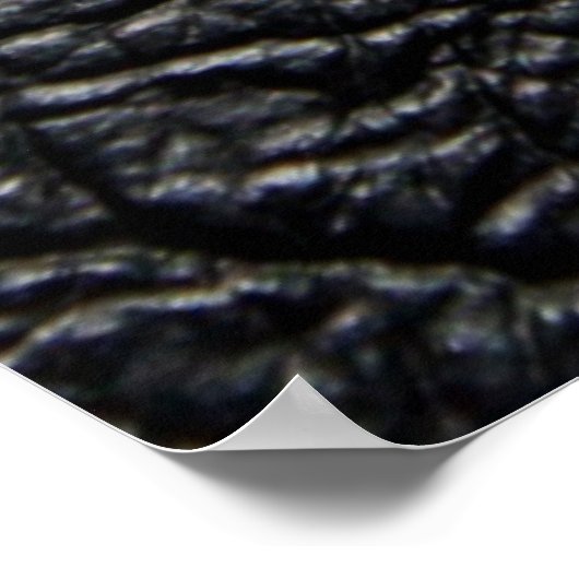 Dit is hoe ik Poster kan rollen (Hoek)